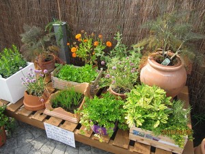 Container Herb Garden Design.jpg