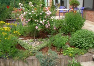 Designing and Herb Garden.jpg