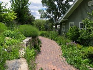 Herb Garden Design Image 4