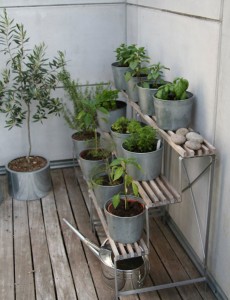 Herb Garden Design for Beginners.jpg