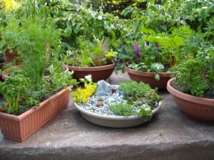 How to Make a Container Herb Garden Design.jpg