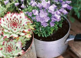 Being Innovative With Your Herb Garden Design Being Innovative With Your Herb Garden Design