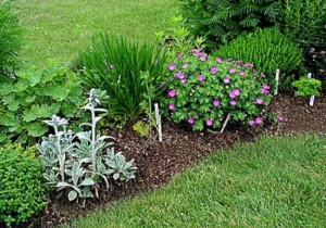 Herb Garden Design Plan.jpg