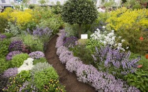 Herb Garden Design Plan.jpg