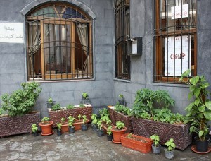 Patio Herb Garden.jpg