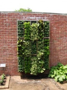 Advantages of a Vertical Herb Garden .jpg