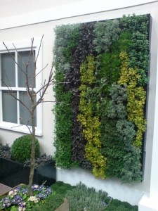 Environmental Benefits of a Vertical Herb Garden Design.jpg