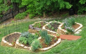 Herb Garden Design for Hillsides.jpg