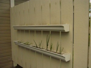 How to Build a Vertical Herb Garden Using Rain Gutters.jpg