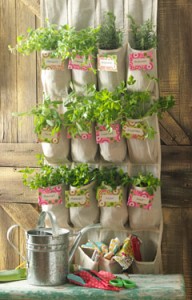 Steps in Making Your Own Vertical Herb Garden.jpg