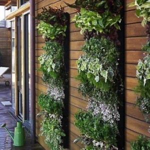 Vertical Herb Garden Design.jpg
