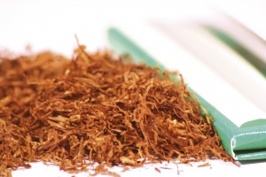Tobacco as an Organic Pesticide for Your Herb Garden.jpg