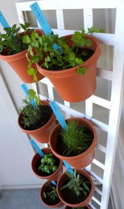 Vertical Herb Garden Design Using a Lattice Fence.jpg