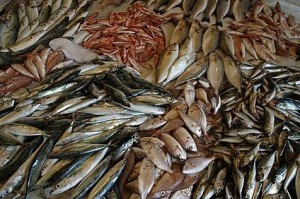 Fish Emulsion Fertilizer Benefits.jpg