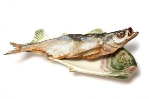 How to Make Your Own Fish Emulsion Fertilizer.jpg