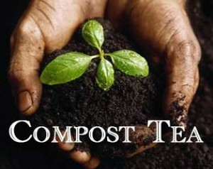 DIY Compost Tea.jpg