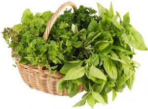 Herb Basket - Planting Herbs