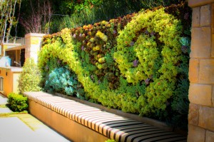How To Make A Living Wall
