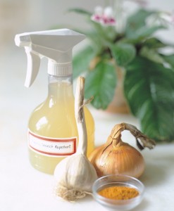 natural pesticides for garden 