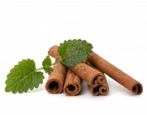 Chinese Medicinal Herbs - Cinnamon