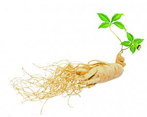 Herbs To Lose Weight