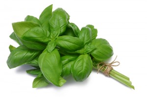 best herbs to grow in pots
