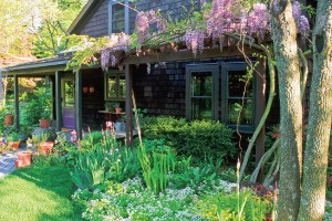 herbs that grow in shade