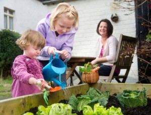 kids herb garden