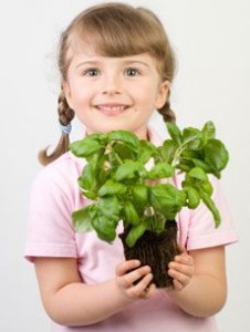 kids herb garden