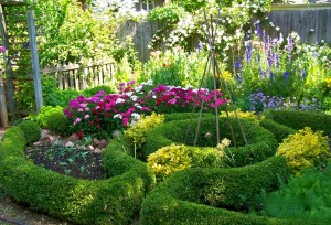 potager herb garden