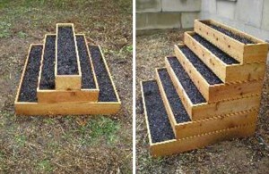 Herb Garden design - Raised Bed