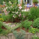 Designing an Herb Garden