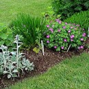 Herb Garden Design Ideas and Tips