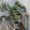 Herb Garden Design for Beginners