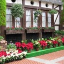 How To Plant Multi Color Herbs For Herb Garden Design