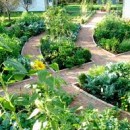 Use Your Innovative Ideas For Designing A Unique Herb Garden